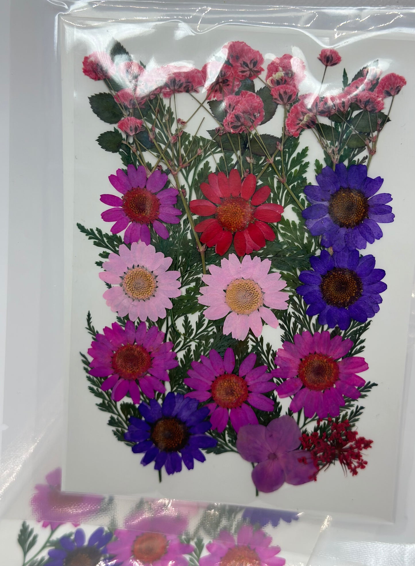 Flores Grandes Naturales