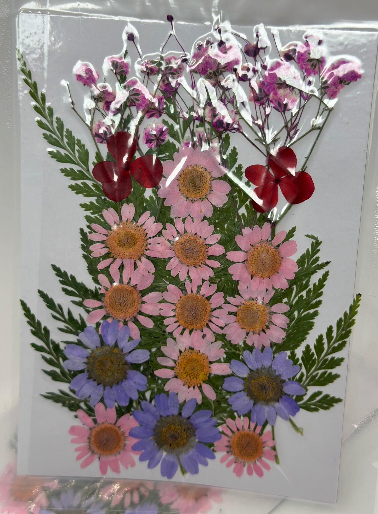 Flores Grandes Naturales